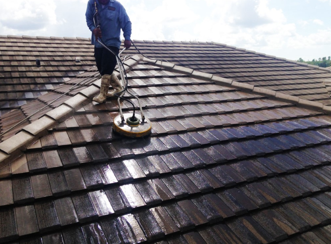 roof moss removal surrey